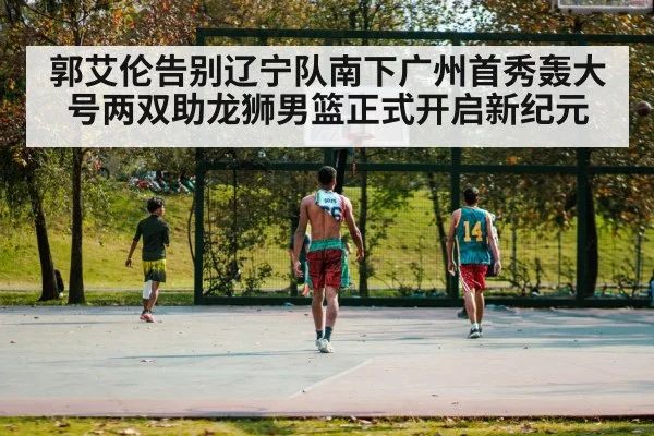 basketball court game